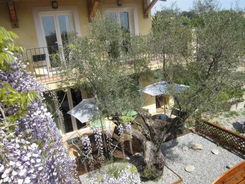 Bed & Breakfast Chambres D'h�tes "bastide De La Brague"
