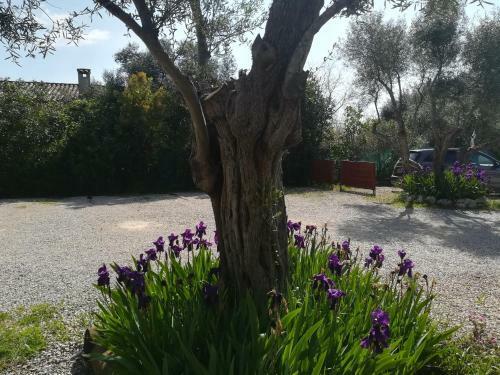Bed & Breakfast Chambres D'h�tes "bastide De La Brague"