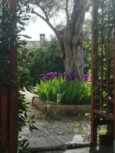 Bed & Breakfast Chambres D'h�tes "bastide De La Brague"