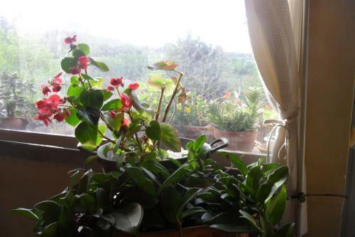 Hostal Affittacamere Damammasara