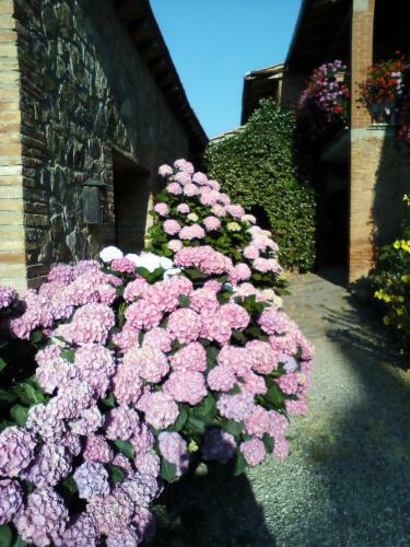 Agroturismo Poggio Al Vento