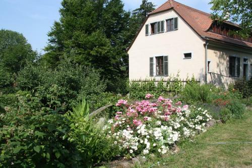 Apartamento Poncet�sches Herrenhaus