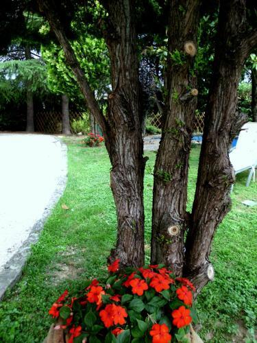 Agroturismo Villa Irene B&B