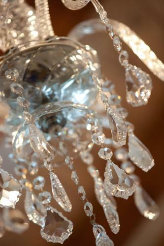 Bed & Breakfast Villa Myosotis