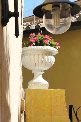 B&B Bouganville