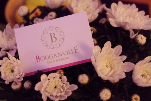 B&B Bouganville