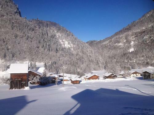Chalet Narcisse