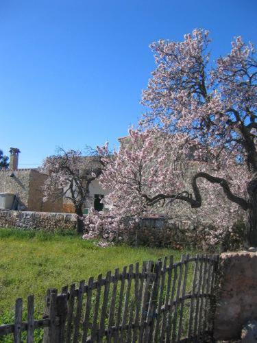 Agroturismo Casa De La Vida