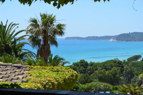 Hostal Residence Fenicia