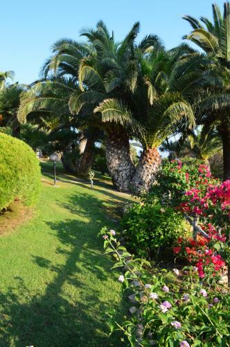 Hostal Residence Fenicia