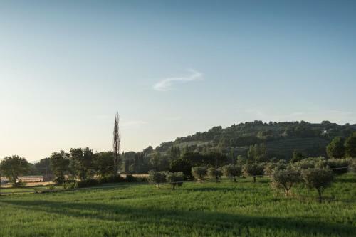Bed & Breakfast Al Pian D'assisi