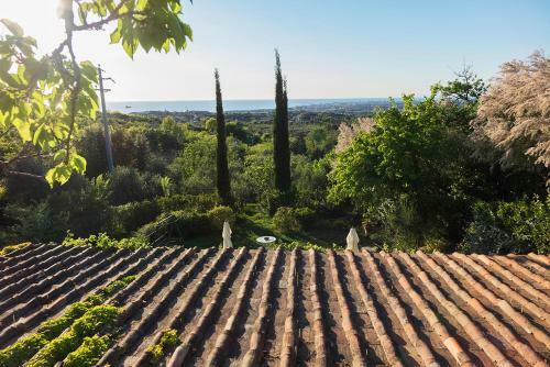 Agroturismo B&B Villa Panicucci