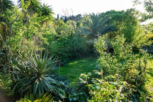 Agroturismo B&B Villa Panicucci