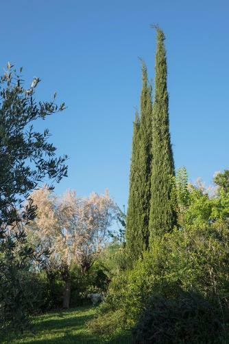 Agroturismo B&B Villa Panicucci