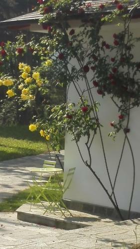 Caterina.c B&B