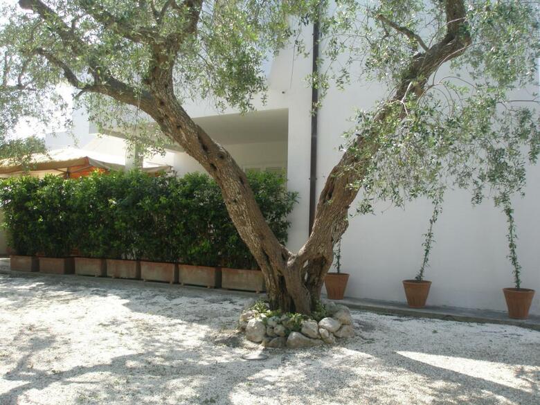 Hostal Tenuta Belvedere