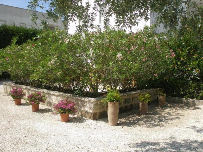 Hostal Tenuta Belvedere