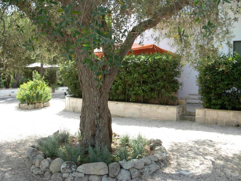 Hostal Tenuta Belvedere