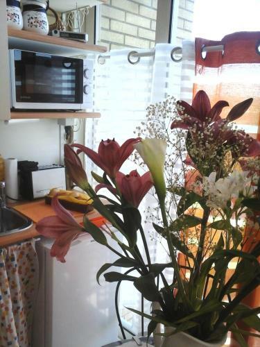 Acero Rosso B&B