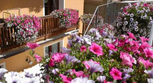 Apartamento Residence Au Vieux Grenier