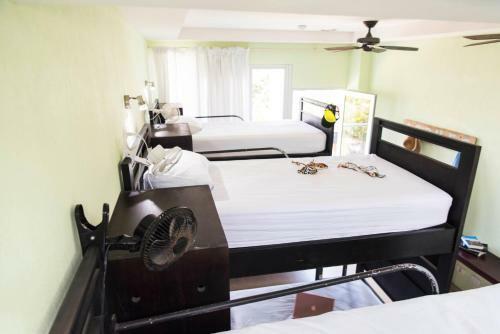 Room2board Hostel And Surf School