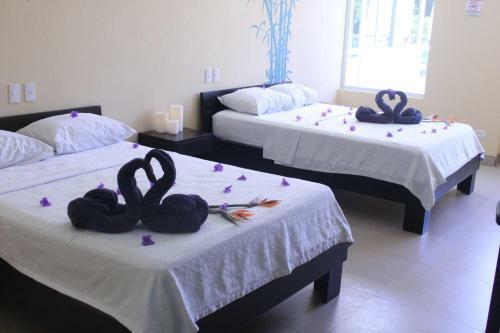 Room2board Hostel And Surf School