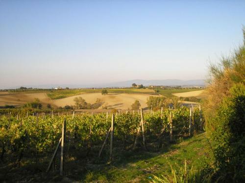 Agroturismo Tenuta Santagnese