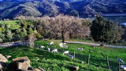 Agroturismo I Filadelfi 1828