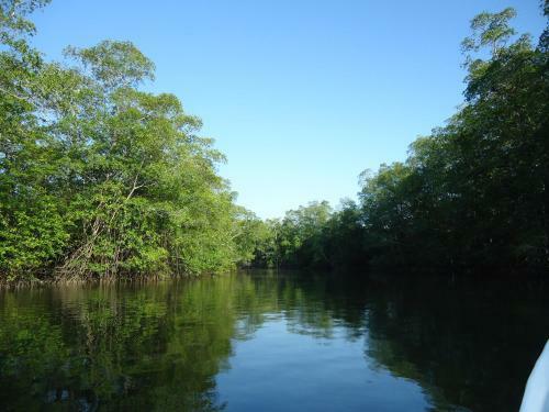 Hotel Veragua River House.