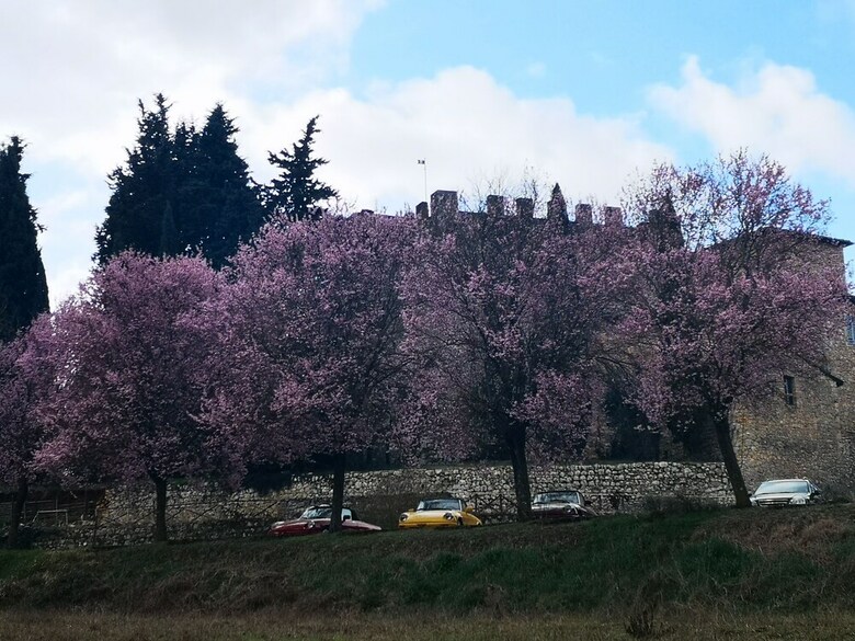 Agroturismo Castel Pietraio