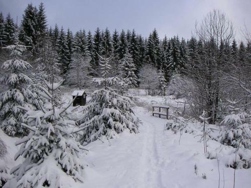 Ferienpark Am Waldsee I