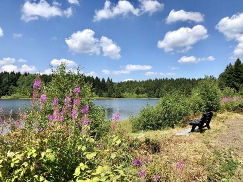 Ferienpark Am Waldsee I