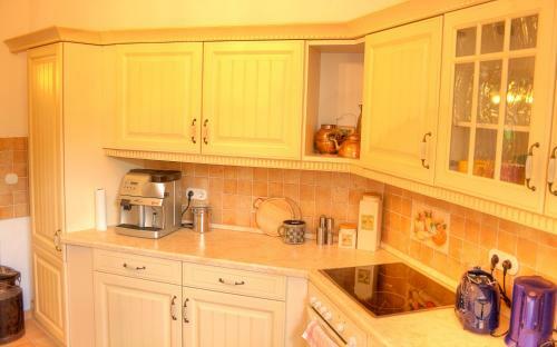 Apartamento Domizil Adler