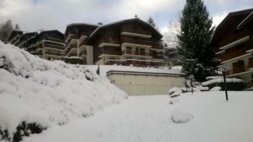 Apartamento Chalet La Piste Bleu