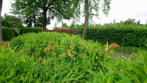 Bed & Breakfast Jardin D'en Naoua