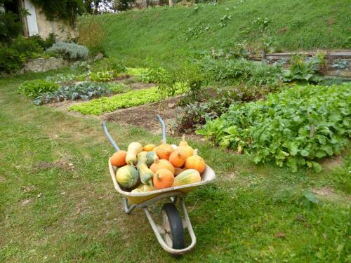 Bed & Breakfast Chambres D'h�tes Le Bourdieu