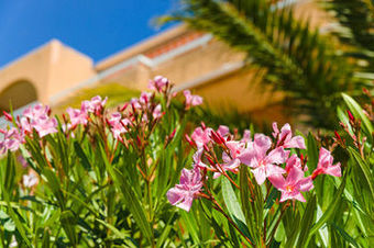 Apartamento Lagrange Classic Villa Barbara