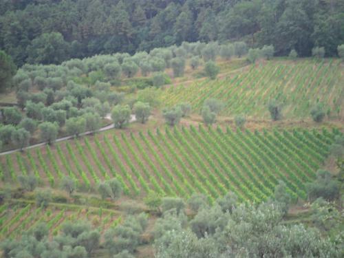 Bed & Breakfast Locanda Del Grillo