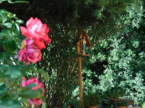 Bed & Breakfast Locanda Del Grillo
