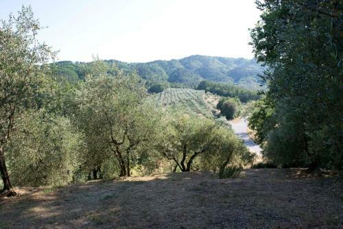 Bed & Breakfast Locanda Del Grillo