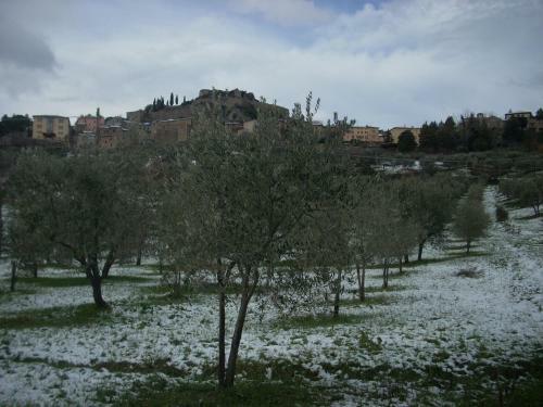 Villa Agriturismo Il Pratone