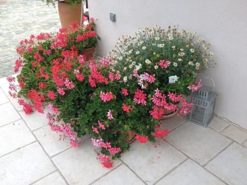 Bed & Breakfast Le Clos Du Jas