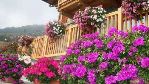 Apartamento Gresil Residence