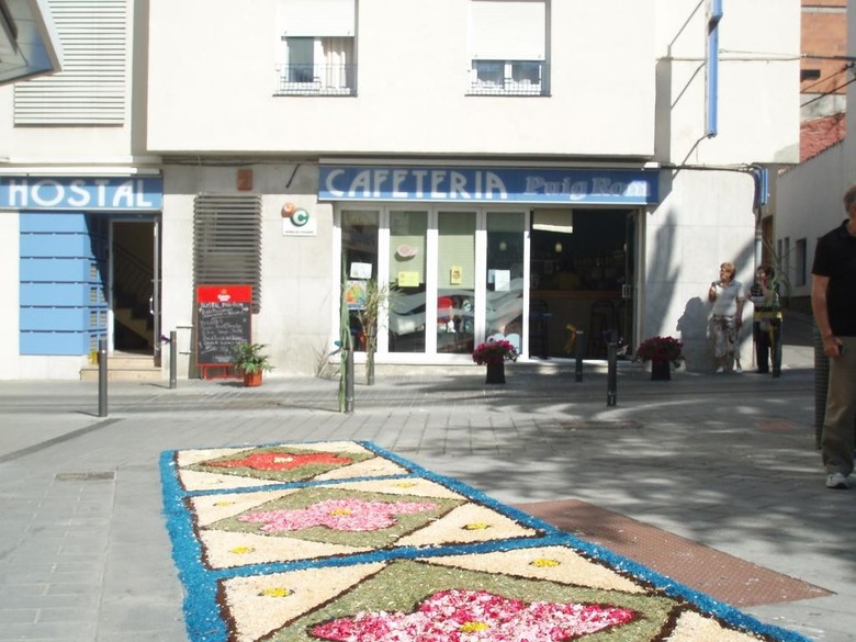 Hotel Puig Rom