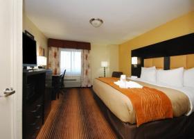 Hotel Comfort Inn Grapevine