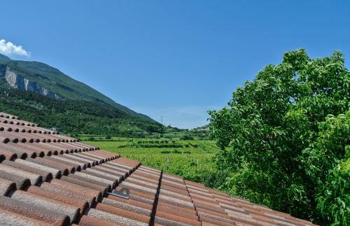 Agroturismo Agritur Stefenelli