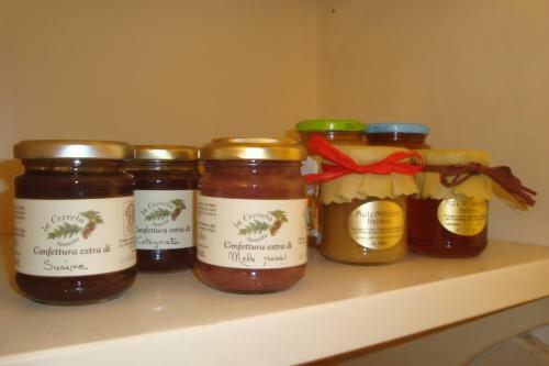 Bed & Breakfast Le Stanze Di Torcicoda