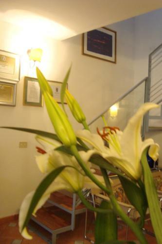 Bed & Breakfast Le Stanze Di Torcicoda