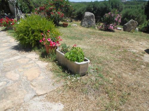 Agroturismo L' Incantu