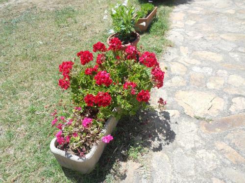 Agroturismo L' Incantu